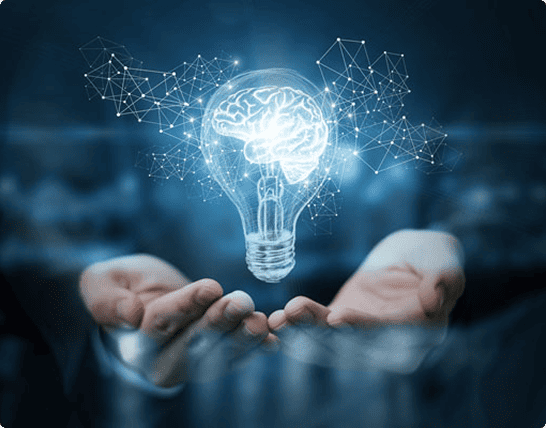 Innovación organizacional